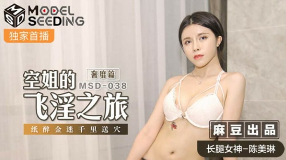麻豆-空姐的飞淫之旅奢靡篇纸醉金迷千里送穴-陈美琳