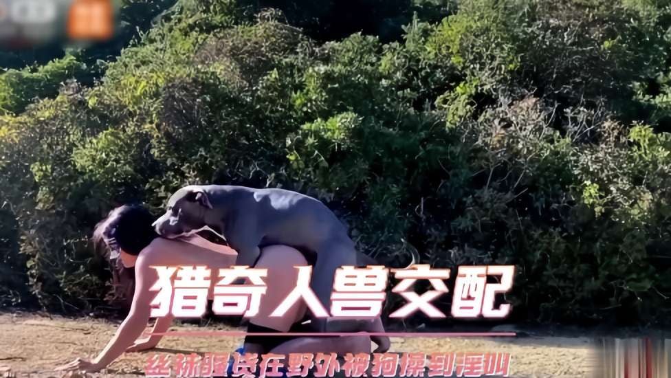 [人狗乱伦]猎奇人兽交配 丝袜骚货在树林被狗操到尖叫