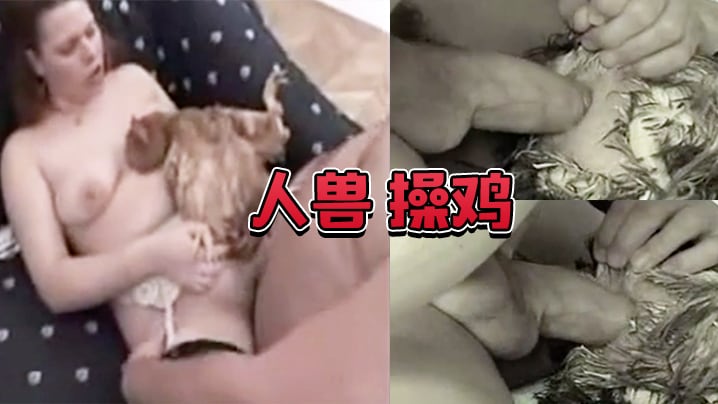 人兽操鸡操鸡屁眼是什么感觉