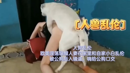 人狗乱伦，欧美淫荡绿帽人妻在家里和自家小白乱伦，被公狗后入骚逼，还给公狗口交