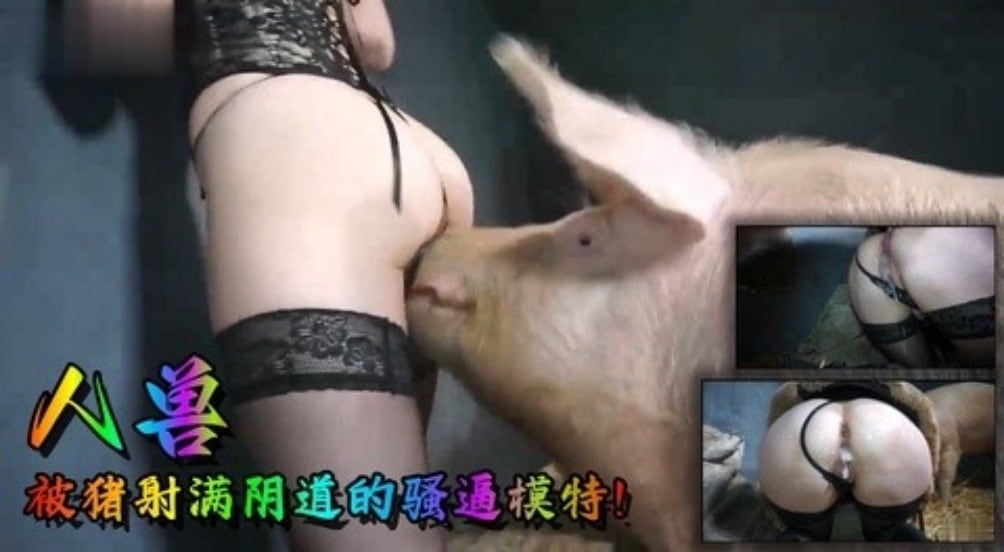 【高清人兽】被猪射满阴道的骚逼模特！