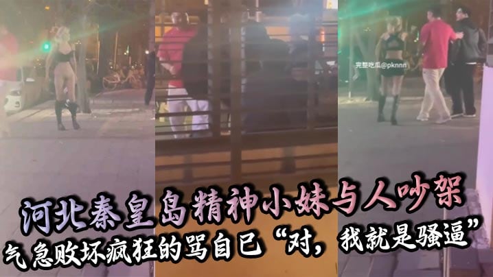 河北秦皇岛精神小妹与人吵架气急败坏疯狂的骂自己对.我就是骚逼还脱裤子露逼让对方来操